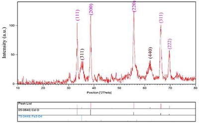 Electrochemical Oxidation and Determination of Antiviral Drug Acyclovir by Modified Carbon Paste Electrode With Magnetic CdO Nanoparticles